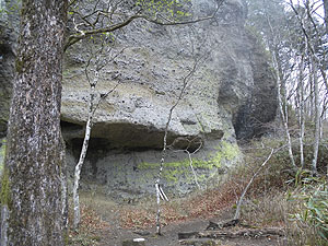 ����Ȋ��