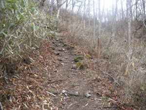 ��ꂩ��̓o�R���B