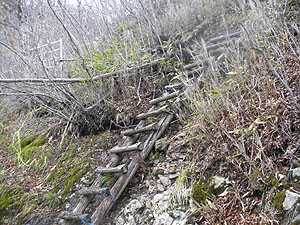 �}�Ȋ�ꂪ���ӏ���������