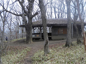 䃊�i�g���C���j