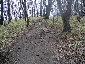 䃊₩��̓o�R���B