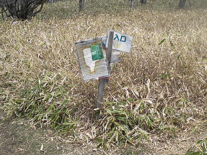 ��ꂩ��̉��R���B