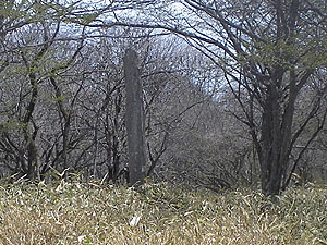 �c���ŌÏC���V�n�̐Δ�