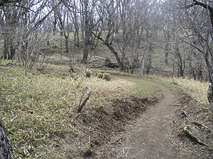 䃊₩��̓o�R���B