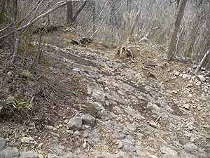 �}�Ȋ�������B