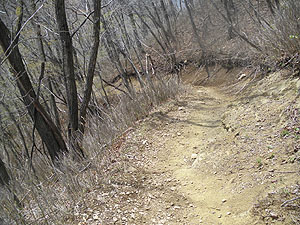 ��t������̓o�R���B