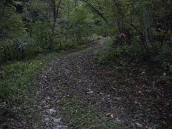 登山口からの登山道