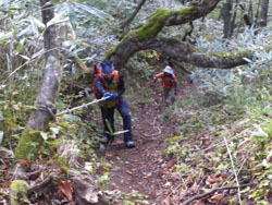 �R�ڂ́H���[�v��