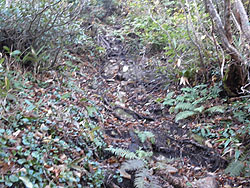 �}�ȓo�R��