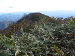 �r�C�R(����)