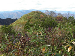 ���􂩂猩������B