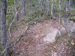 �����̕���