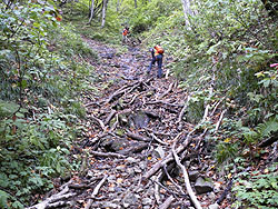 2�ڂ̃��[�v��