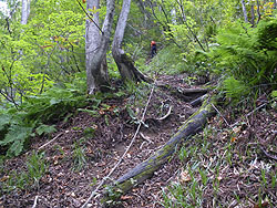 3�ڂ̃��[�v��