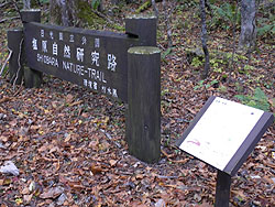 �������R�����H�̑傫�ȕW��