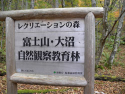 �������R�����H�̑傫�ȕW��