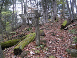 ����܂�1.2km�̕W��