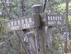 ����܂�1.2km�̕W��