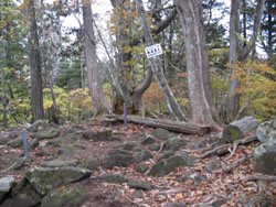 �x�m�R(�V���x�m)�R��