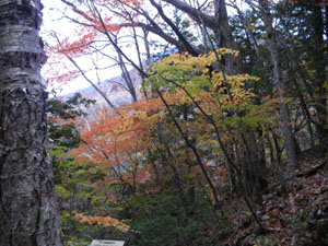 �O���R�H���_�x�H