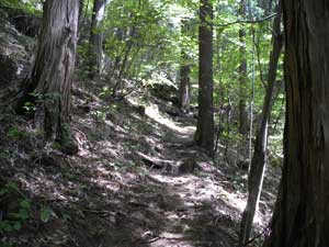 �x���`����̓o�R��