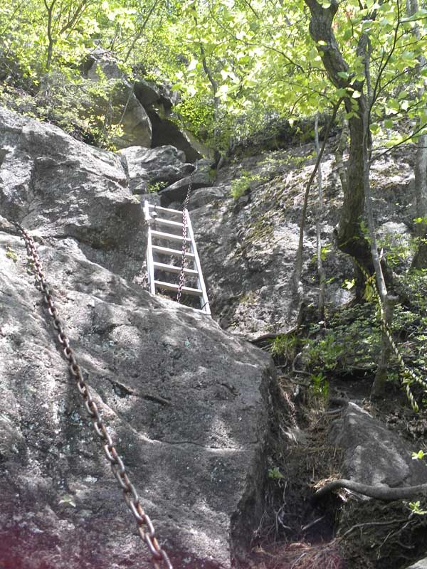 ��q�ɍ���