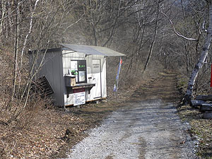 �v���n�u����