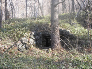 �l�H�I�ɍ��ꂽ�Αg��