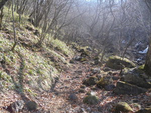 ��̒�������̓o�R��