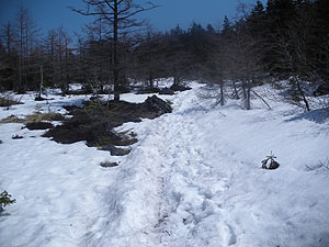 ���̕����̕���_����̓o�R��