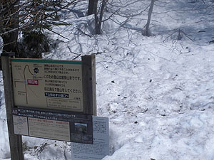 �΃m�͌�����