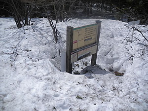 �΃m�͌�����