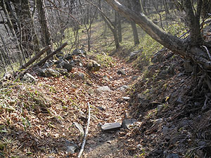 ��̒�������̓o�R��