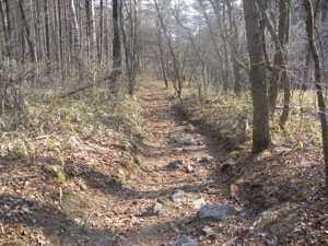 ��̒�������̓o�R��