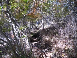 ��2�n�_����̓o�R���B