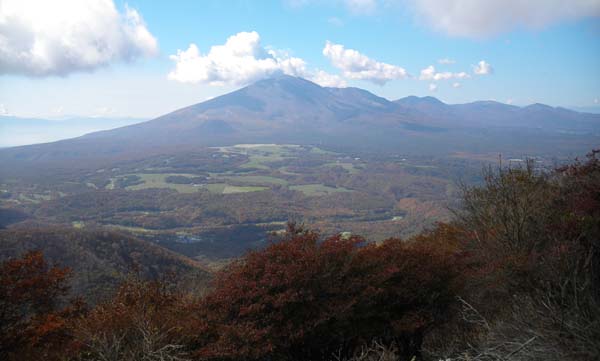 �R���t�߂���̒���