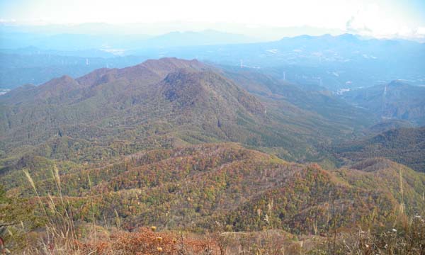 �R���t�߂���̒���