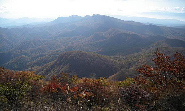 �R���t�߂���̒���