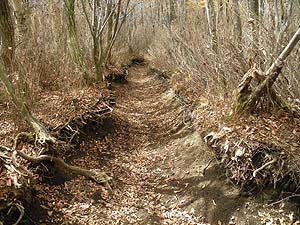 �[���@��ꂽ�A�o�R��