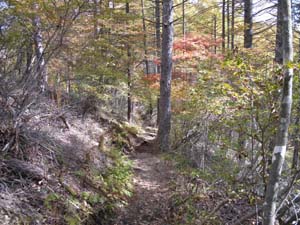 ��3�n�_����̓o�R���B