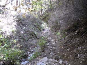 �͂��H�̘e��i��