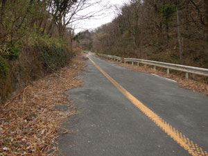 �����ܑ̕��H