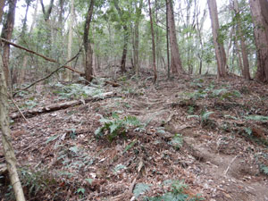 �ܑ��H����O��