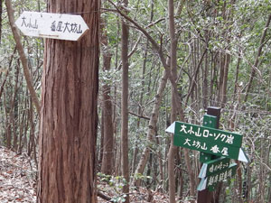 �ܑ��H����O��