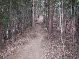 ���򂩂�̓o�R���B