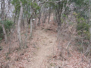 �R���ԉ�����̓o�R���B