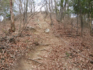 山頂番屋からの登山道。