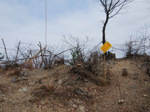 �����z�R�R��(�k��)<>