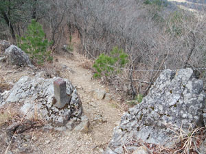 �R��(�k��)����̓�