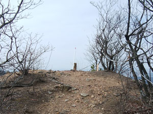 �����z�R�R��(���)